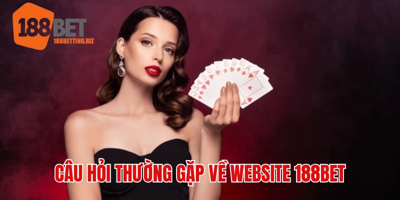 Giải đáp các câu hỏi thường gặp về lỗi website 